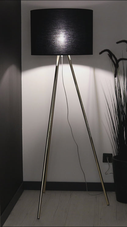 UMBERTO Black Modern  Floor Lamp